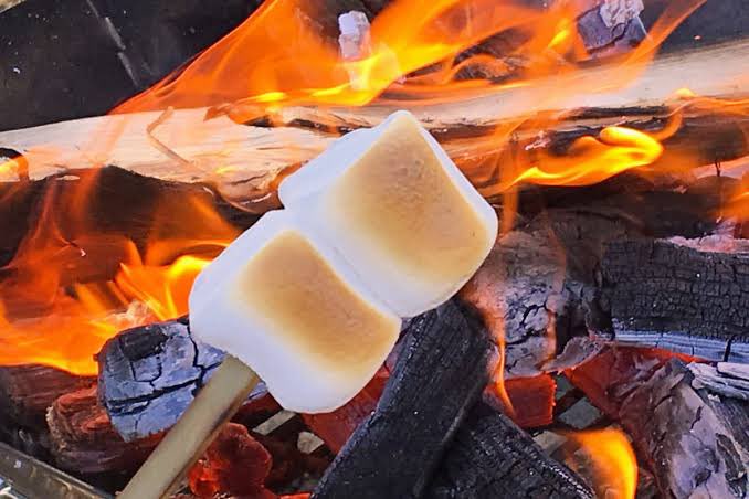 アンカー 喜び 金銭的な 焚き火 マシュマロ 以外 Cgstudio Jp