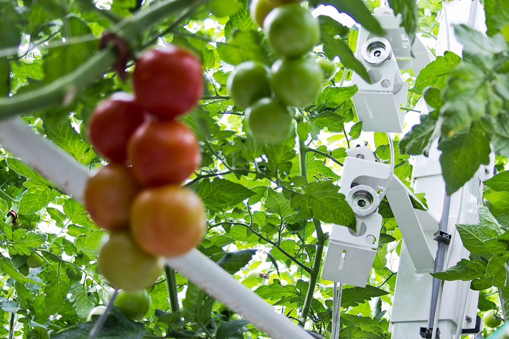DelphyNL (@delphynl) on Twitter photo Werken bij Delphy Glastuinbouw kan in snijbloemen, potplanten of in glasgroenten met jouw technische vakkennis en gevoel voor ondernemen. Solliciteer op de vacatures kun je via delphy.nl/vacancies/?sel… <a href="/DelphyChrysant/">DelphyChrysant 🇺🇦</a> <a href="/DelphyPotplant/">Delphy Potplanten</a> <a href="/JeroenZwinkels/">Jeroen Zwinkels</a> <a href="/DelphyJoris/">Joris Mulders Delphy</a> Werken bij Delphy Glastuinbouw kan in snijbloemen, potplanten of in glasgroenten met jouw technische vakkennis en gevoel voor ondernemen. Solliciteer op de vacatures kun je via delphy.nl/vacancies/?sel… <a href="/DelphyChrysant/">DelphyChrysant 🇺🇦</a> <a href="/DelphyPotplant/">Delphy Potplanten</a> <a href="/JeroenZwinkels/">Jeroen Zwinkels</a> <a href="/DelphyJoris/">Joris Mulders Delphy</a>