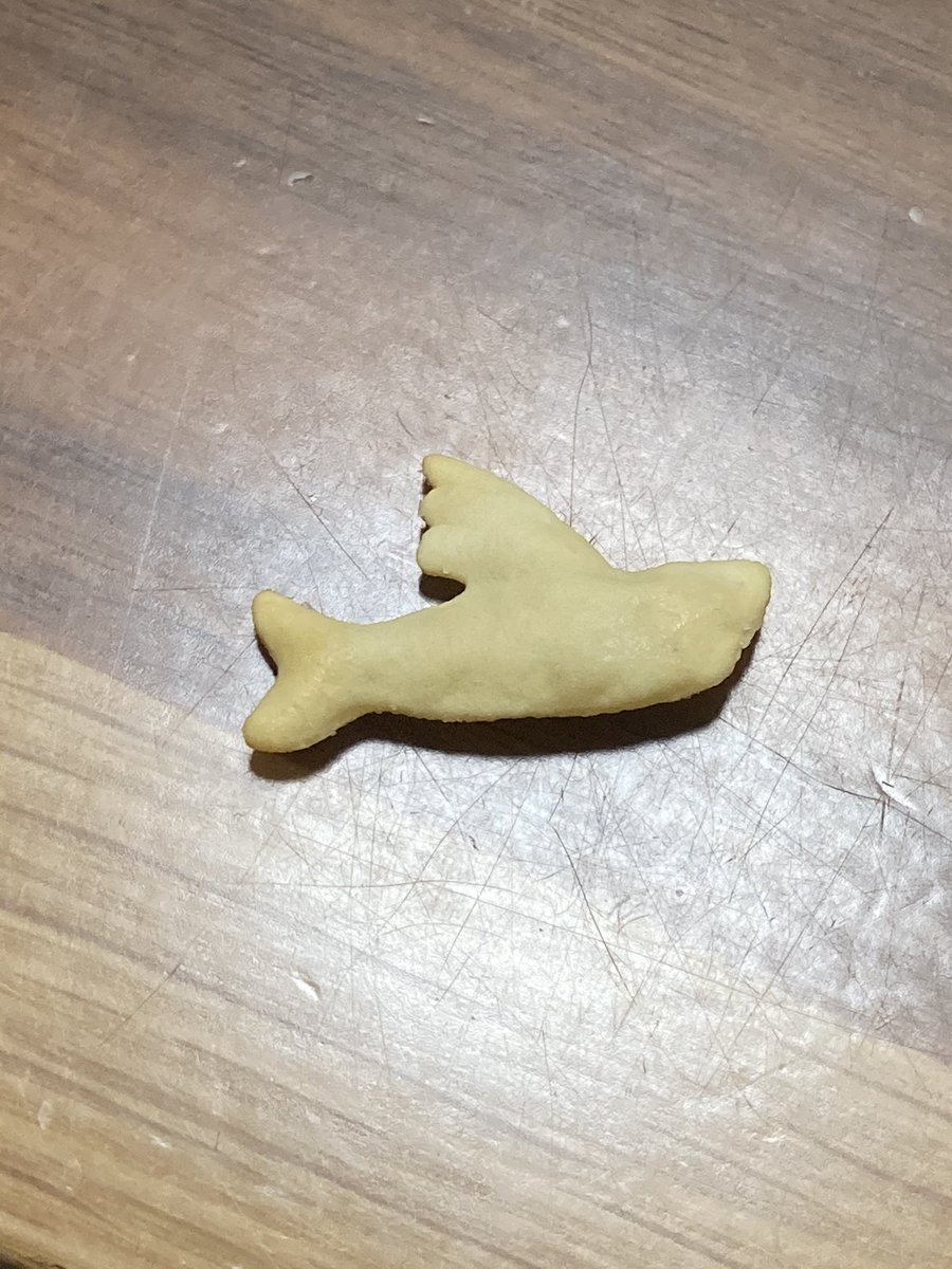 ワラワラ 波にもーまーれ トビウオーになーれ ギラギーラー太陽ーー 初めて見たかもー スピッツ トビウオ おっとっと