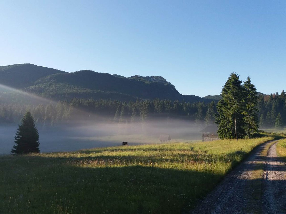 objemihrvasko1's tweet photo. Manj kot 15 km zračne linije od morja se v zaledju @visitRijeka in @VisitKvarner priobalnega pasu razprostira NP #Risnjak. Nameščen je v Gorskem kotarju, najbolj gozdnatem področju zahodne Hrvaške in zavzema prostor masivov Risnjaka ter Snježnika. @TZgorskikotar https://t.co/i3Wlzh1Jgn