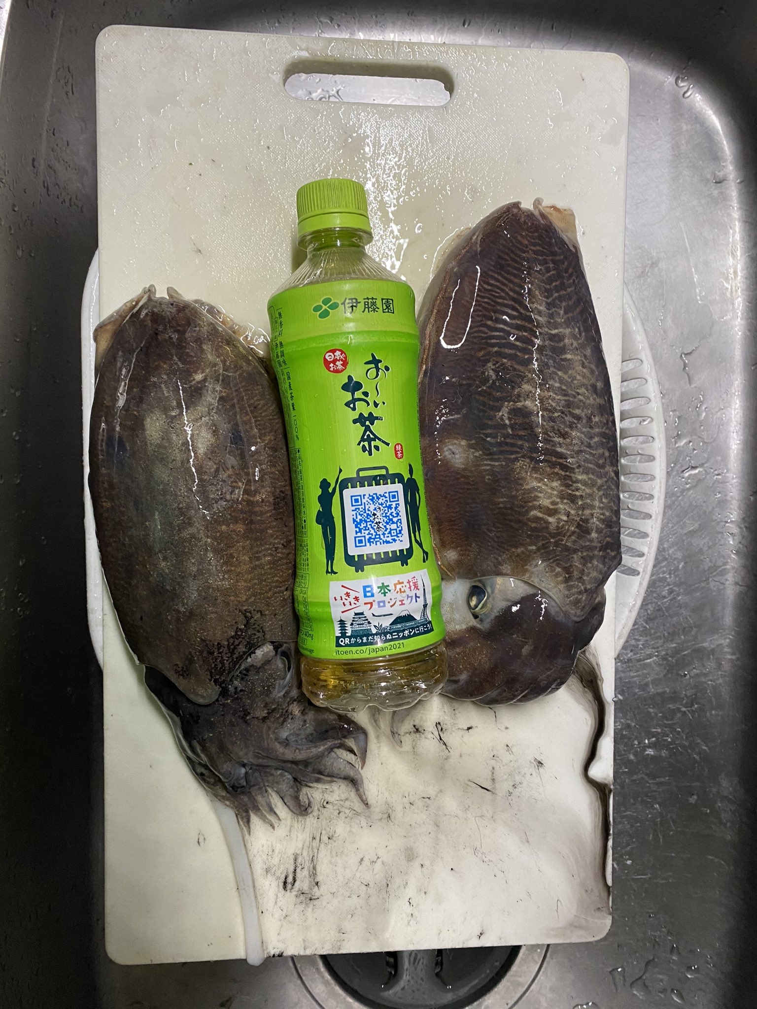 釣り師 Turishi944 Twitter