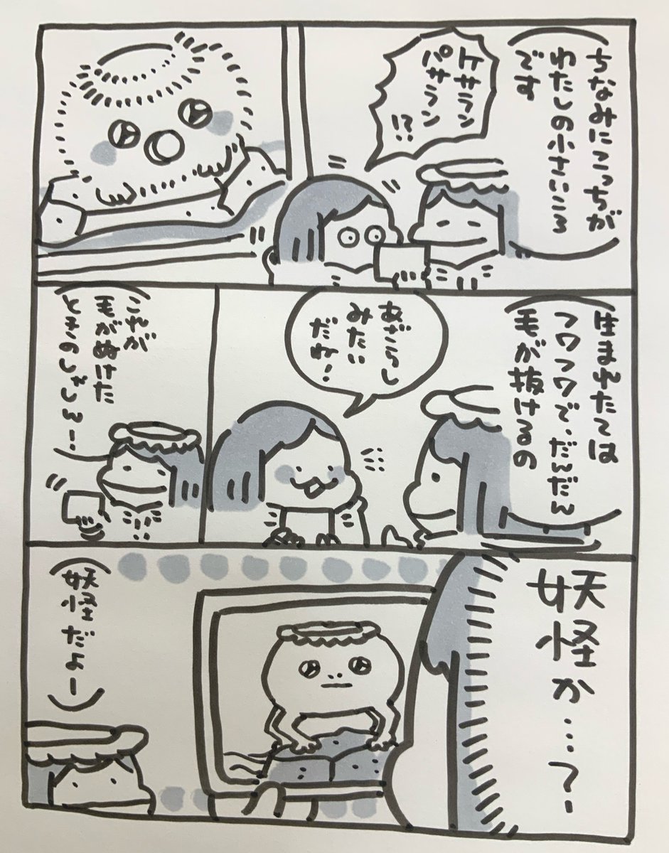 【定休日のお知らせ】
いつもありがとうございます。4月25日は定休日です。月曜日からまた元気に頑張りますので、よろしくお願いします!よい週末をお過ごし下さい?
#ポプたんとカパたん 
