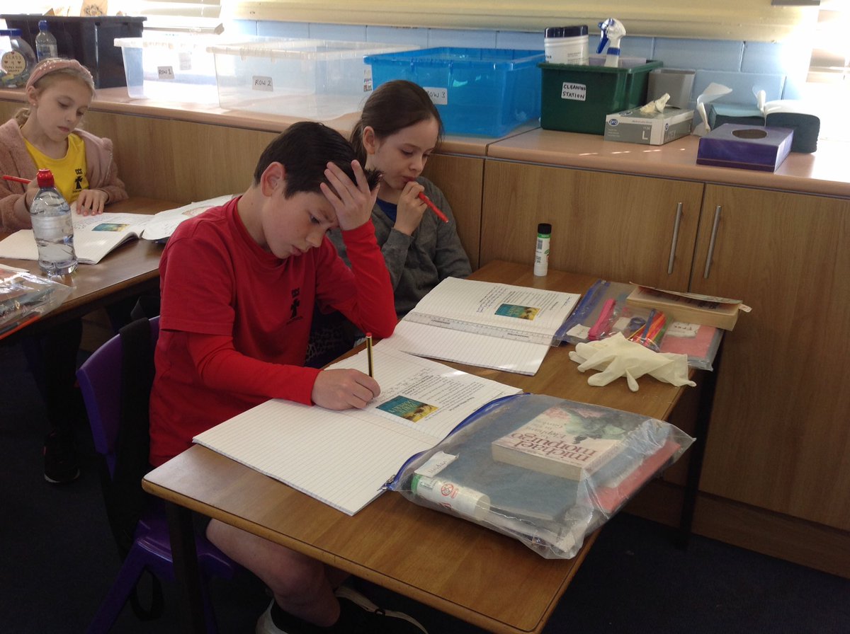 CCMPrimary's tweet photo. Year 4 are predicting what they think our new text is going to be about this morning! #thesailingshiptree #BerlieDoherty https://t.co/CPSghiUQfj