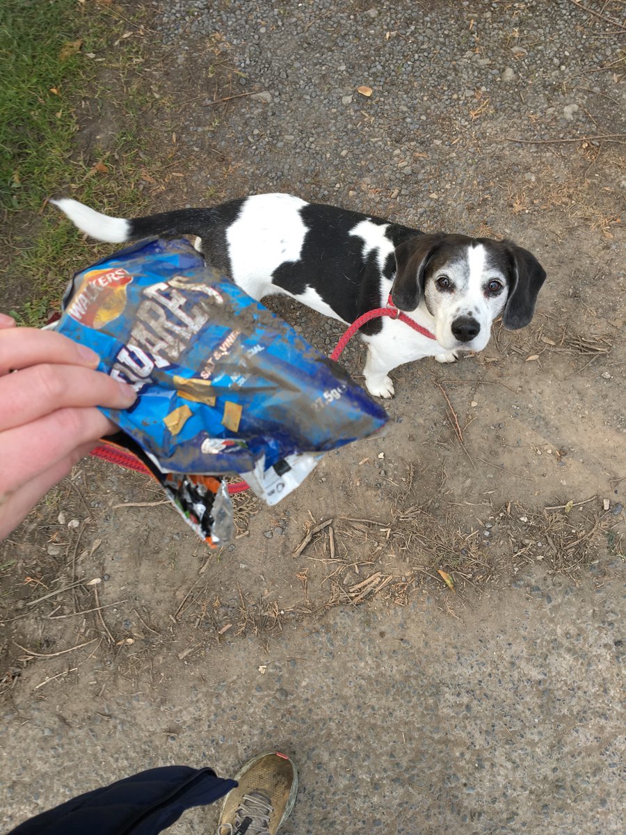 The Parkinson's EQUIP team is gearing up to take part in the #captaintom100! 🤗

☎️ Debra will reconnect with 100 people
🚮 Ali will pick up 100 pieces of litter
🎷 Ray will play the sax for 100 minutes
🥔 Tom will plant 100 potatoes!

Donate here 👉🏼captaintom100.virginmoneygiving.com/giving/captain…