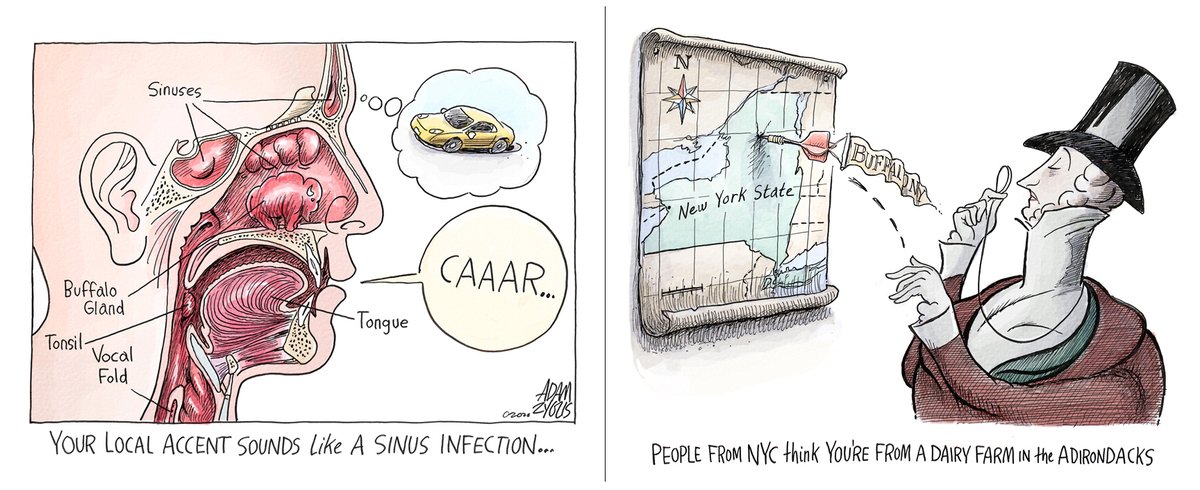 Lauren Hall tweet media