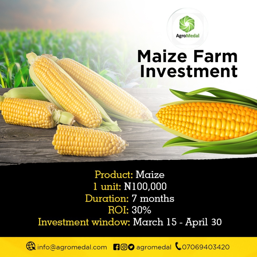 agromedal's tweet photo. Because we don't want you to miss out on this amazing opportunity, we have extended the deadline for maize investment to 30th of April.
Don't be left out.
Make the wise choice to invest in AgroMedal today.
You'd be glad you did.
DM for more details.
#finance #mondaythoughts https://t.co/o1wgSe2J2E