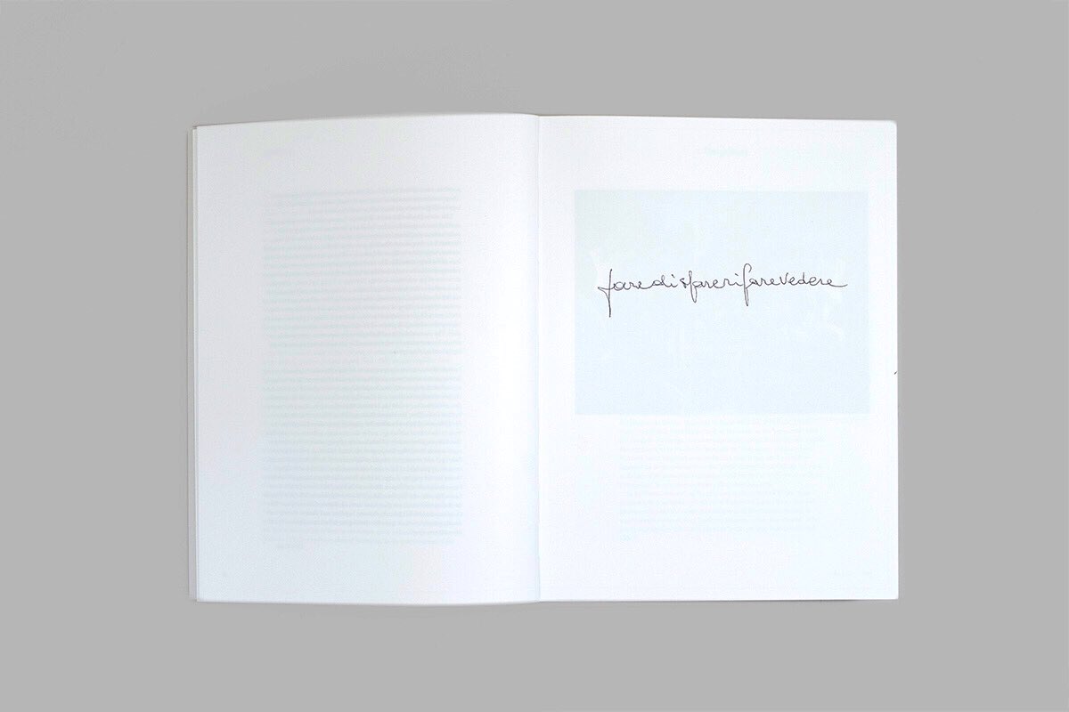 Faredisfarerifarevedere #Paoloicaro