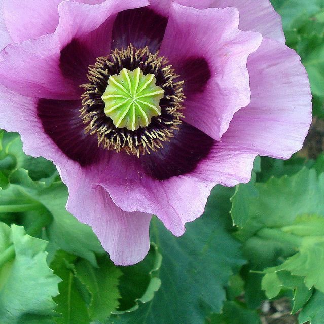 Made with Real Honey¡ tweet media