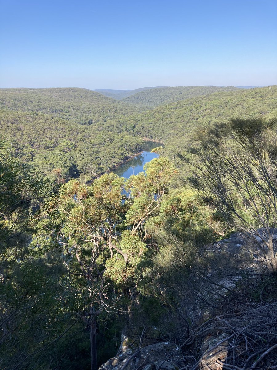 Great PL in the Royal National Park today for K-6 staff. Deepening our knowledge of Country and connecting to Country. I learnt so much. Perfect weather. Perfect location. Now to apply what I’ve learnt to support students in our school.
