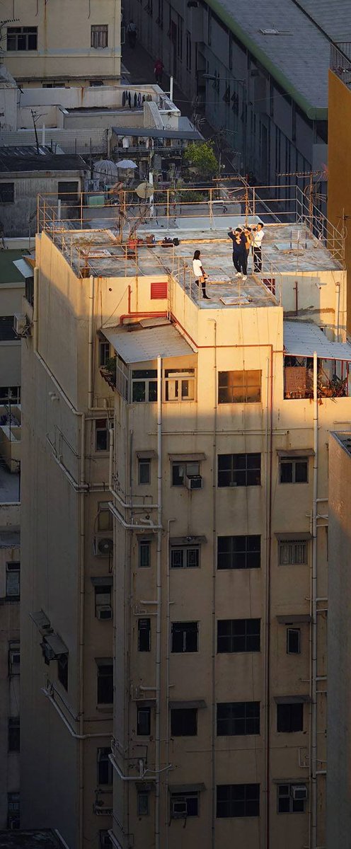 kotecinho's tweet photo. La vida secreta de los tejados comunales de Hong Kong 🇭🇰

📸 Romain Jacquet-Lagreze https://t.co/8yC7PBHexV