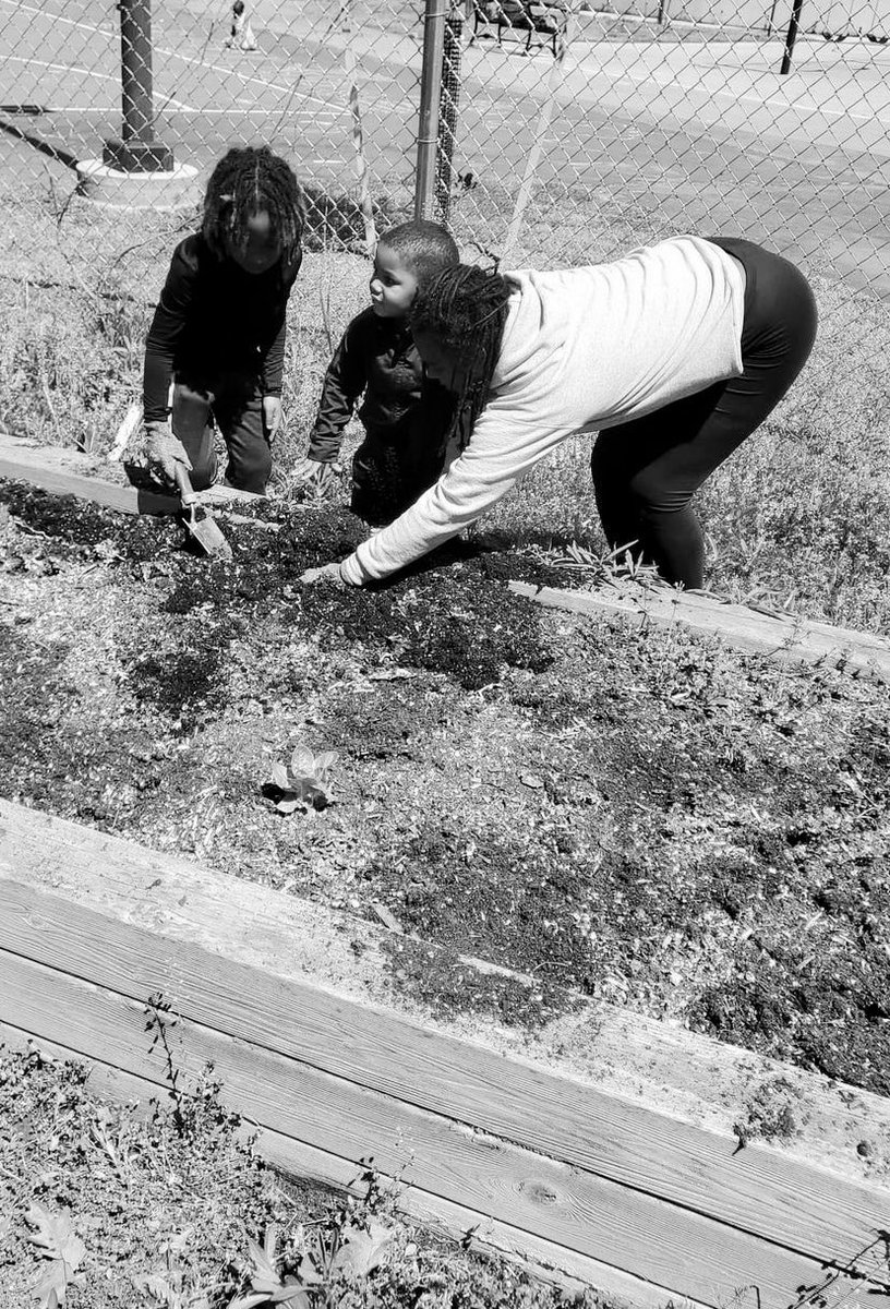 i had babies helping me in the garden yesterday, y'all. 🥺🥺 i can't wait to have the garden poppin this summer so kids can have a safe space to play and explore and learn and eat! ♻️🌱💚🎉🌸🥰✨🍓#greenwithin