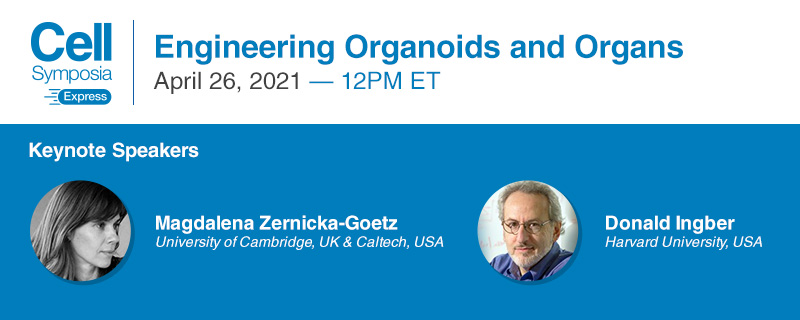 CellPressNews's tweet image. Want to broaden your knowledge on #organoids and #organengineering and network with colleagues from other institutions? Register for #CellSymposiaExpress #CSOrganoids2021, April 26, 2021 hubs.ly/H0LtpL-0