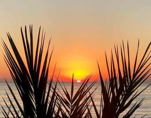 guardiaplanet's tweet photo. When the sun is risen...
#planetearth #planetguard #nature #landscape #photo #travel #spa #trekking #camping #surfing #yoga #peace #life #hope #stillness #relax #harmony #sunrise #shore #coast #seaside #beach #morning https://t.co/c5iAlPpLdx