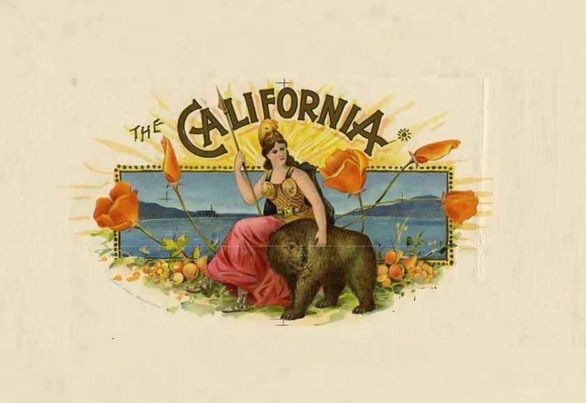 httpcs's tweet image. 📢 Du nouveau sur le blog HTTPCS !
Venez lire notre dernier article pour tout savoir sur la nouvelle loi RGPD made in USA🇺🇸
buff.ly/3tCsmTO