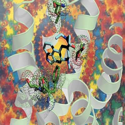 zenbrainest's tweet photo. Happy bicycle day!
#psychedelic https://t.co/4e3I6Vm0nj