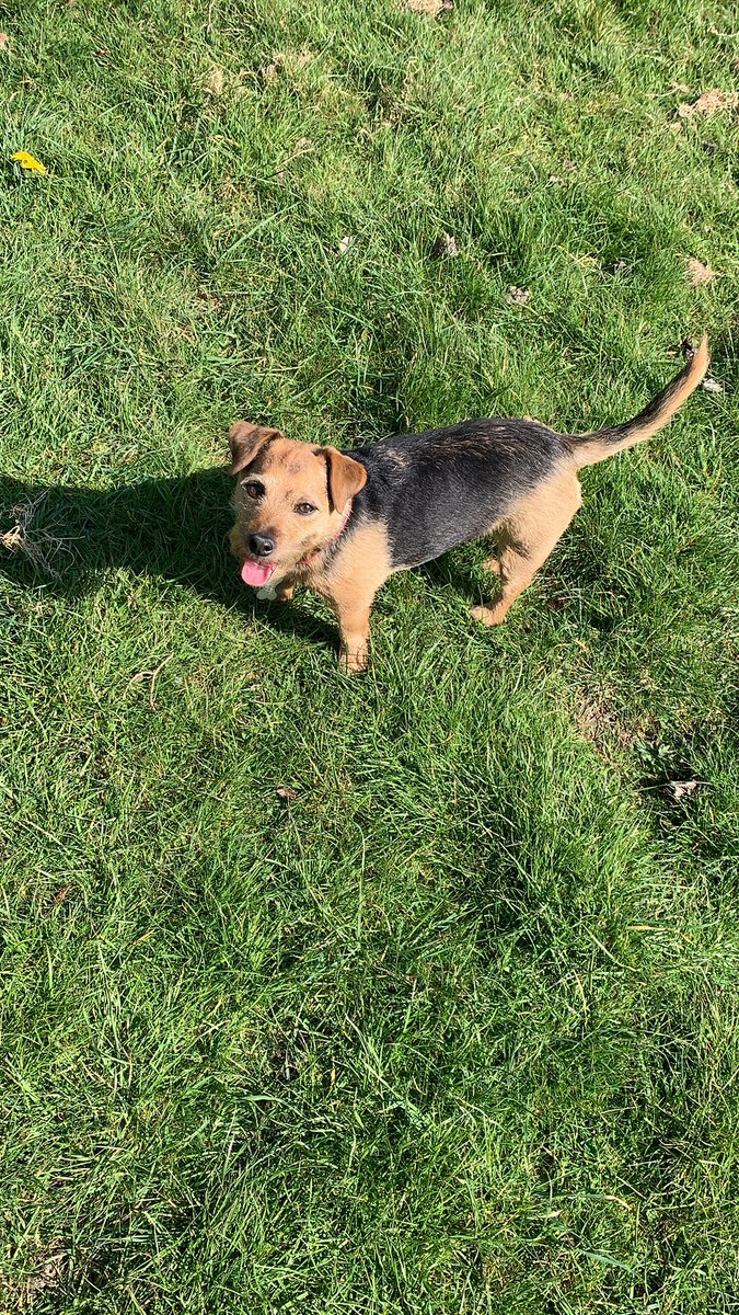 NotClarky's tweet image. ❤️❤️