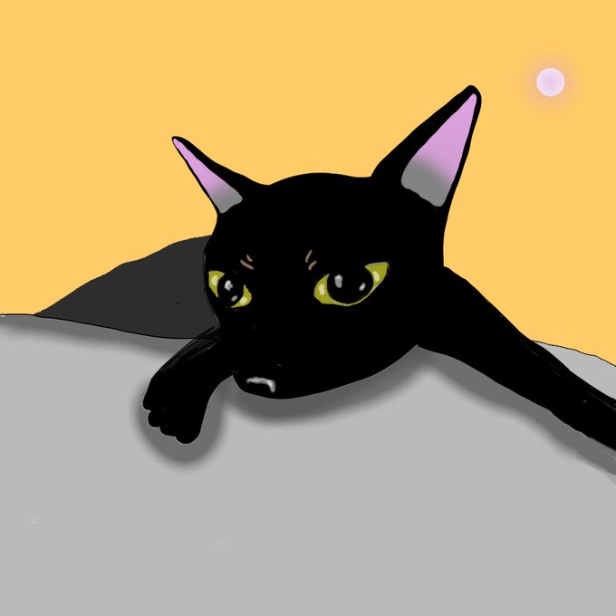くろねこのtwitterイラスト検索結果