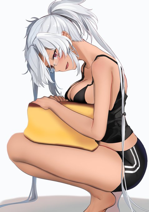 出張先でカステラっぽいクッションを買って来たので武蔵さんに与えてみたら気に入った様子でかわいい 