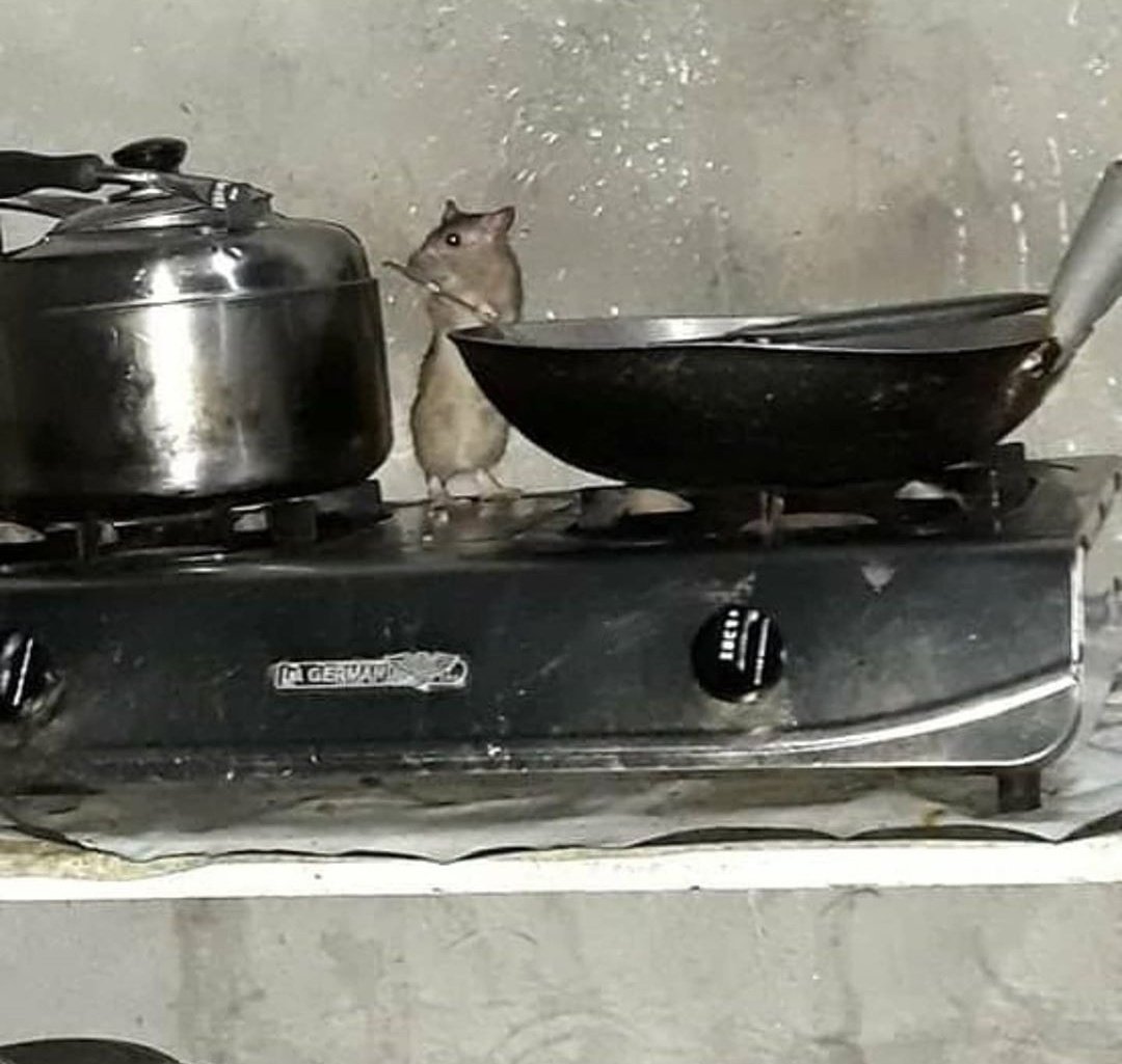 momoshttps's tweet image. 