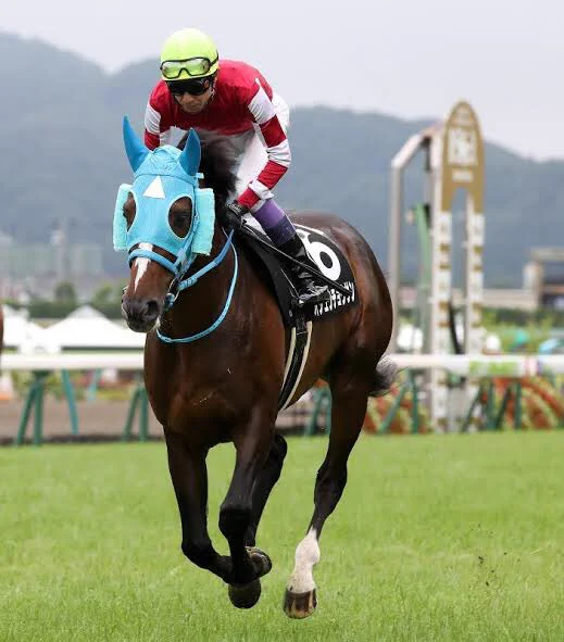 @bbucketbbucket 障害レースではブリンカーの使用が認められていないので、代わりにチークピースを付けます。 