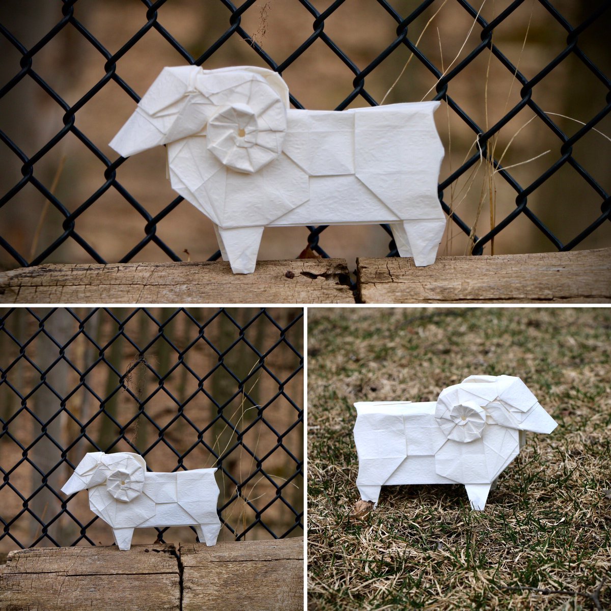 origamicanada tweet media