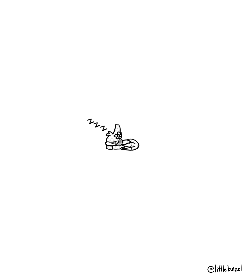 Pepperpuffin Pepperpuffinwn Twitter Pepperpuffin Pepperpuffinwn Twitter