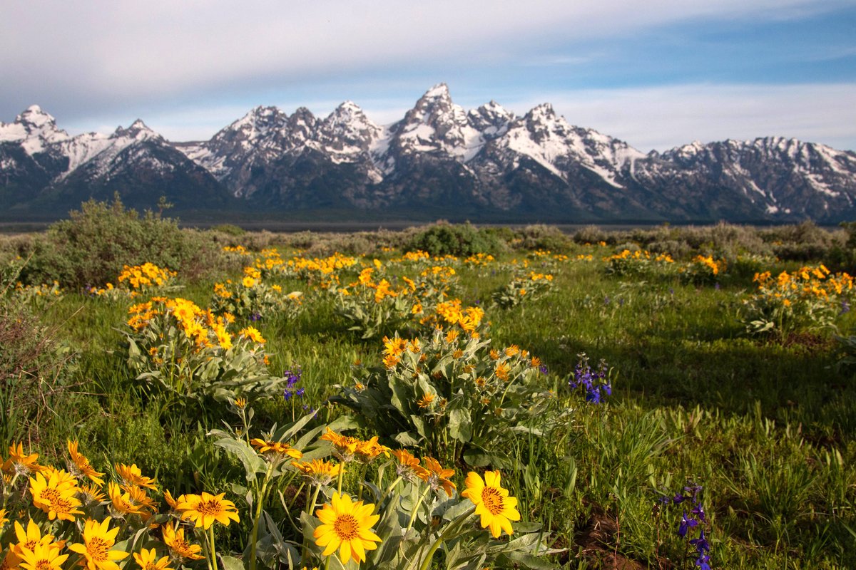 National parks remind us of our past and give us hope for the future. This #NationalParkWeek, join me in celebrating by sharing your love for these incredible places.