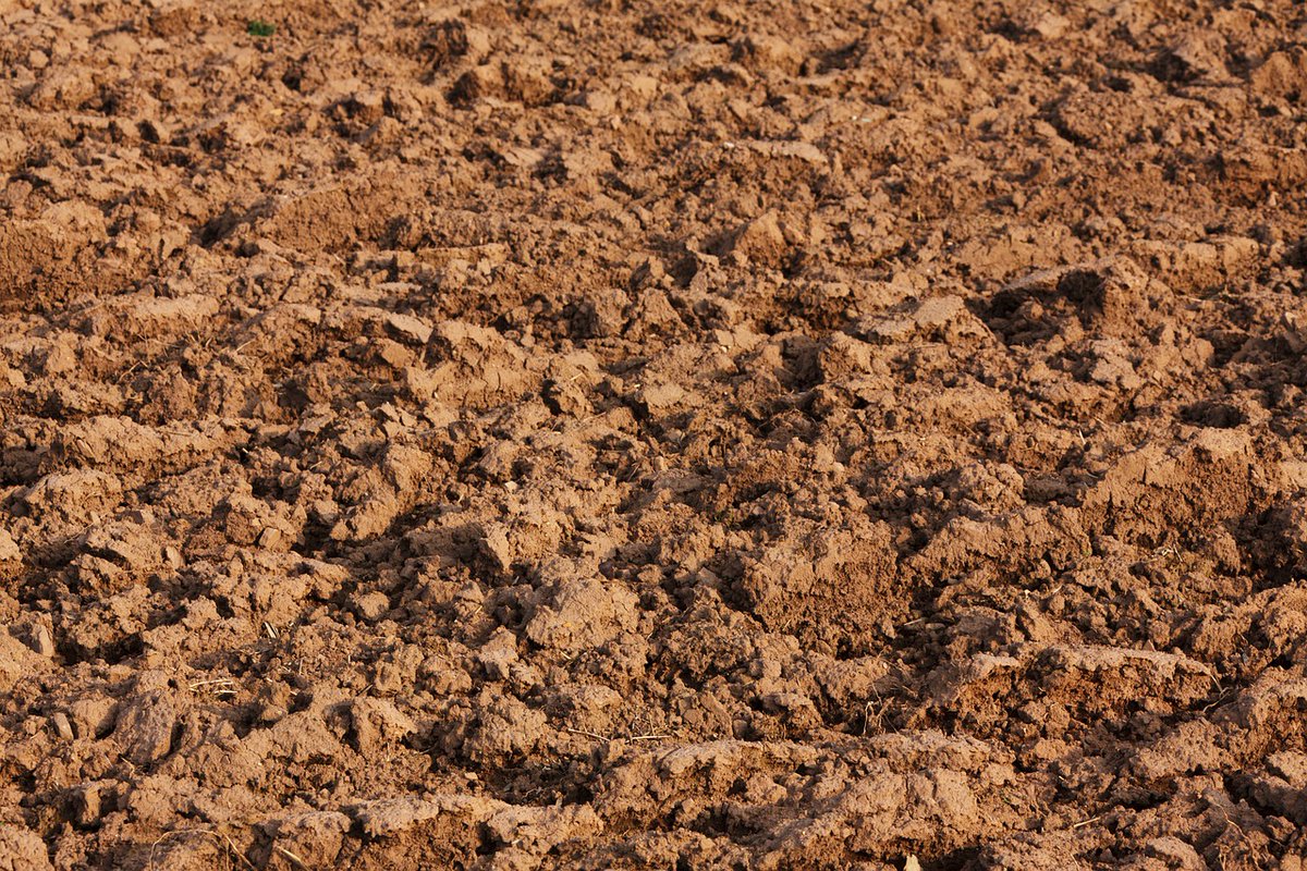 We should stop treating soil like dirt!
The importance of soil is the subject of today's read by Molly Tooher-Rudd. Soil is the foundation of our food &amp; climate systems and is degrading rapidly. Find out how we can help!

#SciComm #SciBlog #SoilScience

…cecommunicationsheffield.blogspot.com/2021/04/why-we…