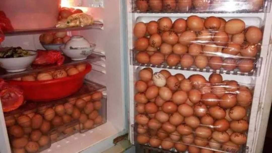 CamiloCalleO's tweet photo. Mi nevera cuando encuentro la docena de huevos a 1800. 

#CarrasquillaTieneHuevo https://t.co/YZ7YbDmuuF