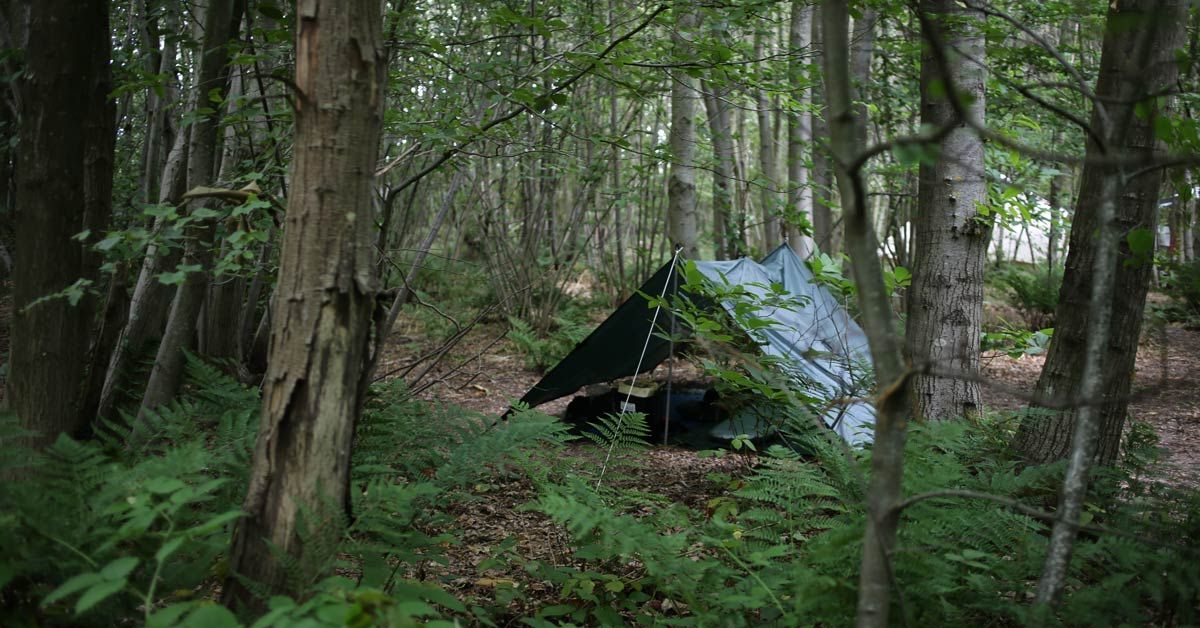 Join us Thursday at 8 pm as <a href="/jimwarnersmith/">James Warner Smith</a> joins us to talk about his wild camping experiences across Europe and how it's unlocked the opportunity to explore places he would never have found!

Find out more and register for FREE here 👇
ellis-brigham.com/events/my-wild…
