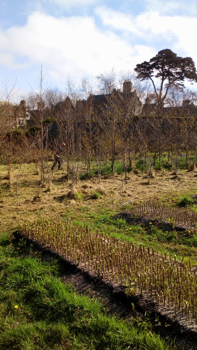 The Conservation Volunteers NI tweet media