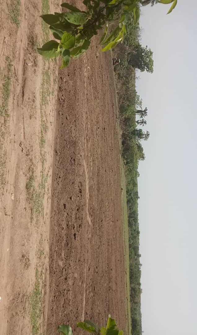 So how did our weekend go? 🤔 
Work!!! 
We kicked off work on our Oyo farm where we’ll be cultivating maize 🌽 though we scaled down our hectarage because we aren’t sure what rain holds for the next 2 months 😅😩 🌧.  Fingers crossed 🤞 

#youthinAg #dipofarms #MeninAg #unsdgs