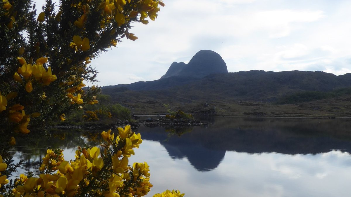 DsjoyceA's tweet photo. Very exciting to get back here at last...a sublime walk was followed by a superlative pie! @LochinverLarder @discoverassynt https://t.co/gAorHp5DEE