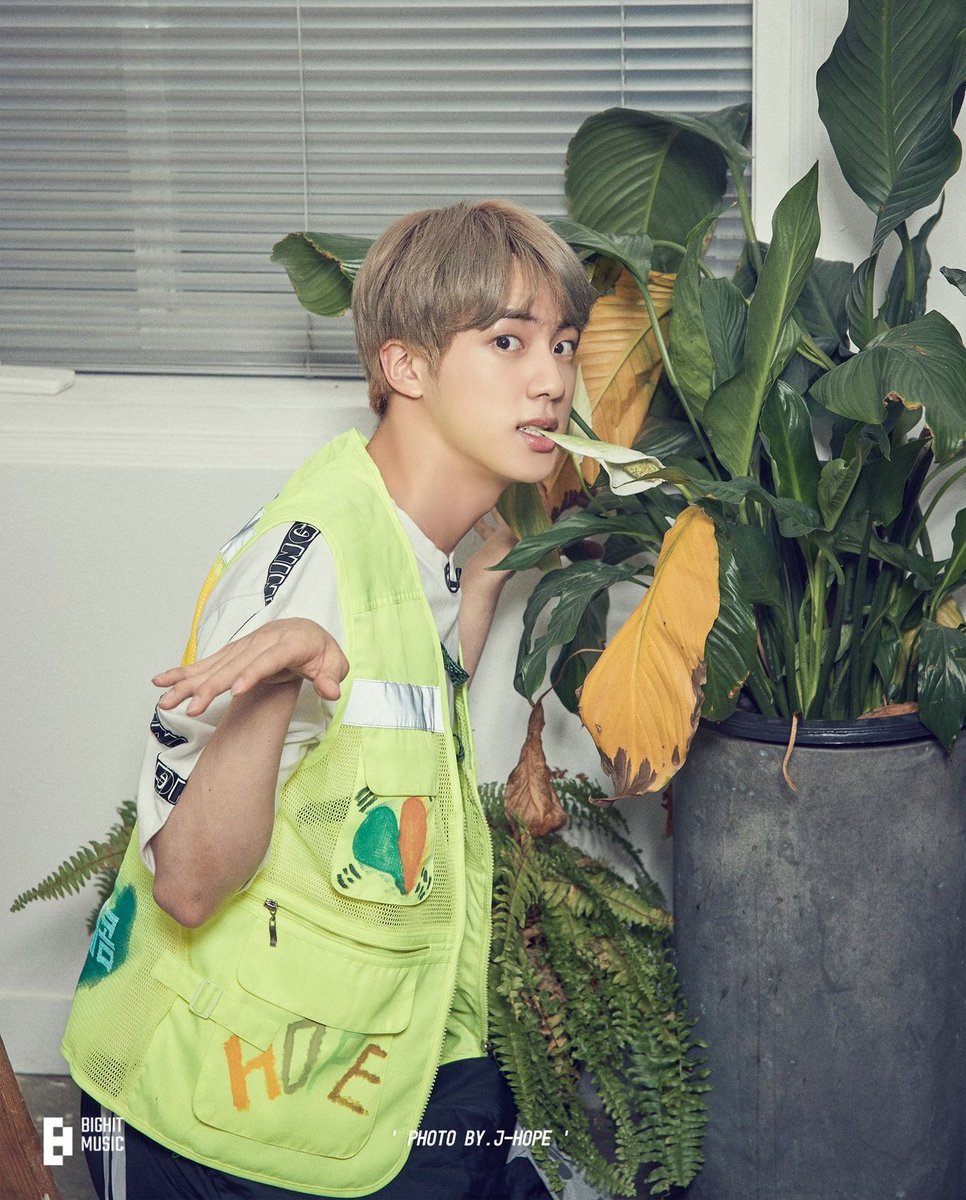 seokjinmylabsss's tweet photo. @bts_bighit the duality https://t.co/iqsXZ20kEk