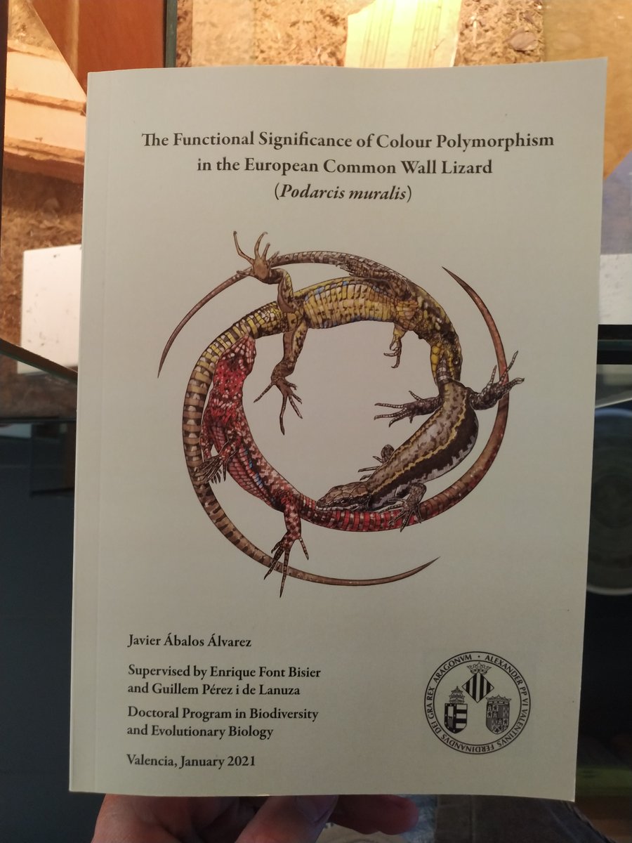 Javier Ábalos tweet media