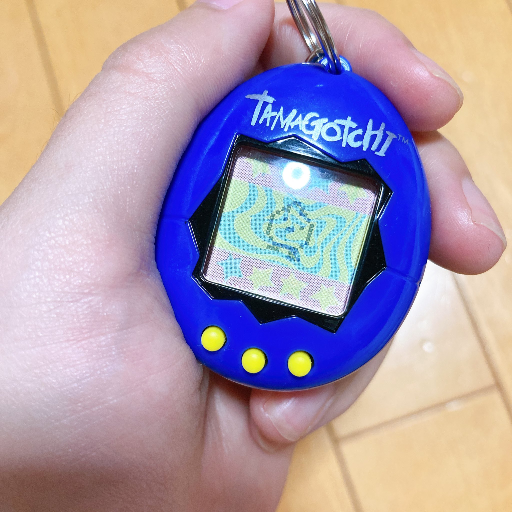 Twitter 上的 ないき お風呂から上がったら進化してくれた しらべたらとんがりっちらしい 初代にとんがりっちはいないので 海外版 たまごっちの中身は新種発見たまごっち 初代の続編 なんだな 引き続き見守る めっちゃかわいい T Co Eiwozmqaz4