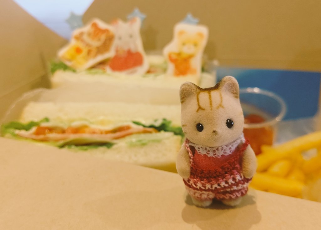 おうちにかえりたいシマネコの赤ちゃん Simanekokaeru Twitter