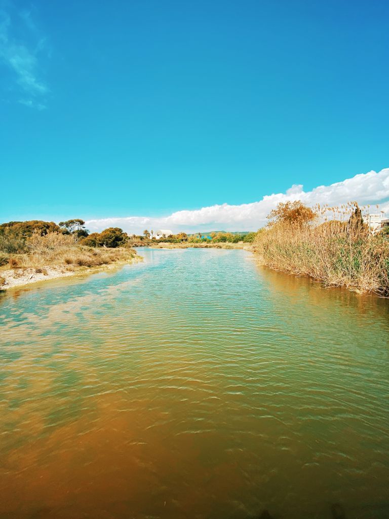 patcubelles's tweet photo. Sabies que a la desembocadura del riu Foix...

es pot observar el comportament de les aus autòctones d’aquesta zona a més de passar un dia al bell mig de la natura❓

#patrimonicubelles #turismecubelles #visitacubelles #cubelles #desembocaduradelfoix

@ajcubelles @CubellesTurisme https://t.co/nWL59PWan4