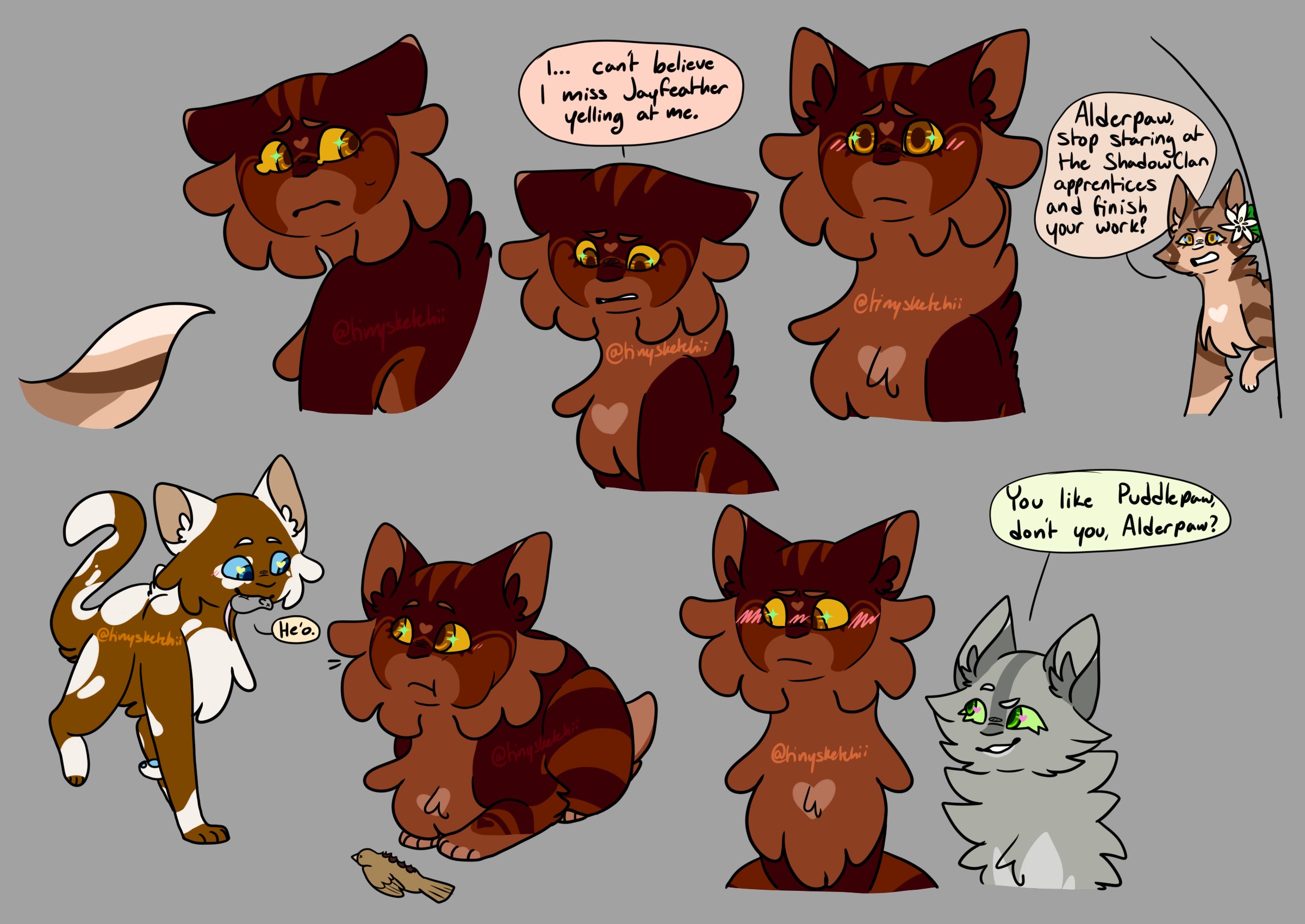 The Jayfeather Scene that EVERYONE Missed