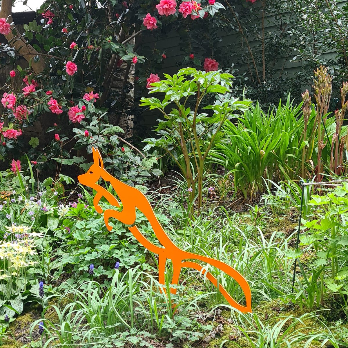Vinnie the Fox in his Edinburgh home. We love seeing our #sculpture friends in their homes. Keep sending us your pics so we can share them with the world.
#gardens #gardensculptures #gardenfox #foxsculpture #edinburgh #scotland #madeinscotland #gardening #gardenfriends