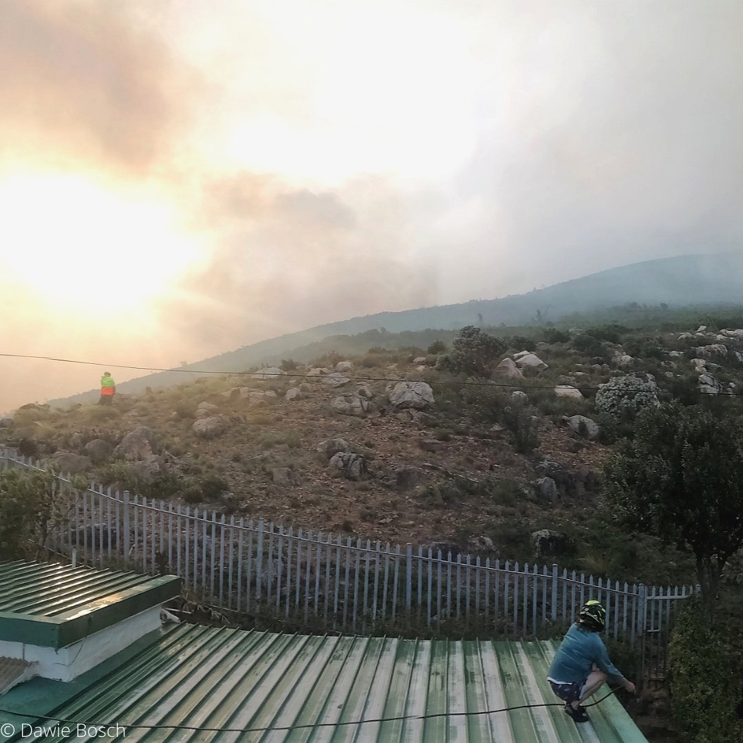 Our thoughts are with all the people and nature affected by the #CapeTownfires and our gratitude to those fighting it on the front lines. 🙏
