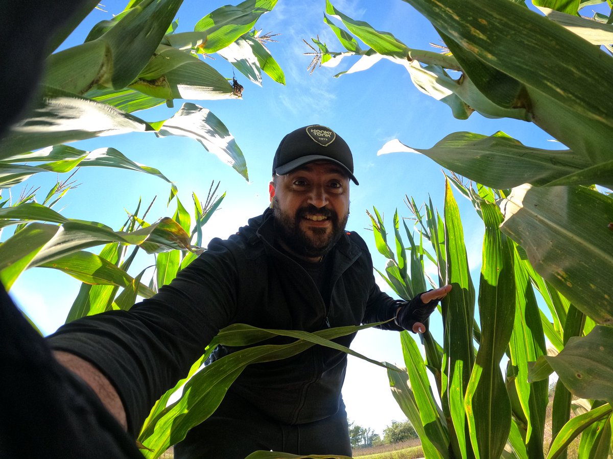 NicolasMilone's tweet image. 🌽🌽🌽 No inviertas el 90% de tu tiempo pesando en el 10% de tu vida que no funciona.🌽🌽🌽

#gopro #goproarg #goprohero9 #buenosaires #campo #argentina #time #maiz