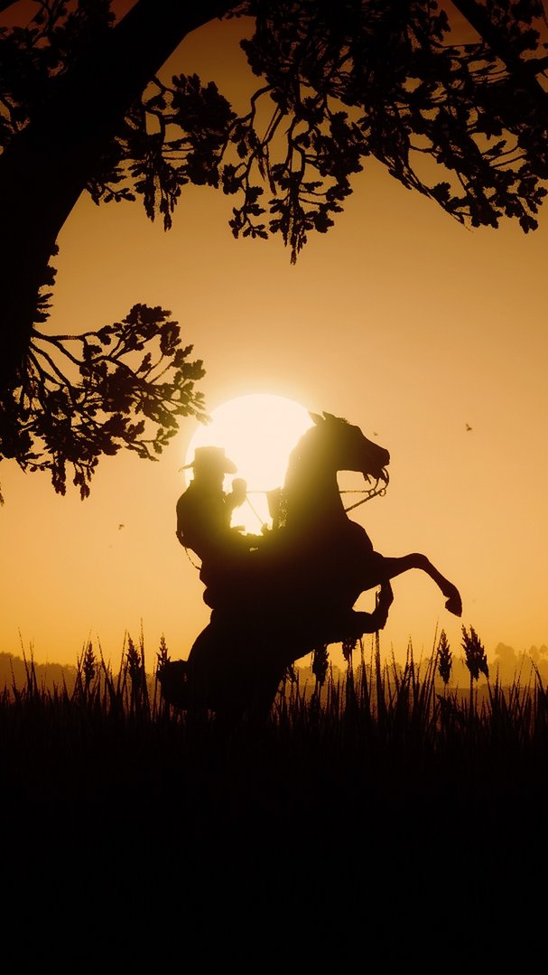 drkfox21's tweet photo. These are my shots for #PhotoModeMonday/#MarstonMondays 🤗
The first and last are vertical↕️
#RDR2

#VPCVMAG #VGPUnite #Gametography #VPEclipse #GamerGram #VPCONTEXT #TheCapturedCollective #PhotoMode #VirtualPhotography #PhotoDenUC #Phomode #WorldofVP #Zarngaming @RockstarGames https://t.co/fzD0vuEr94