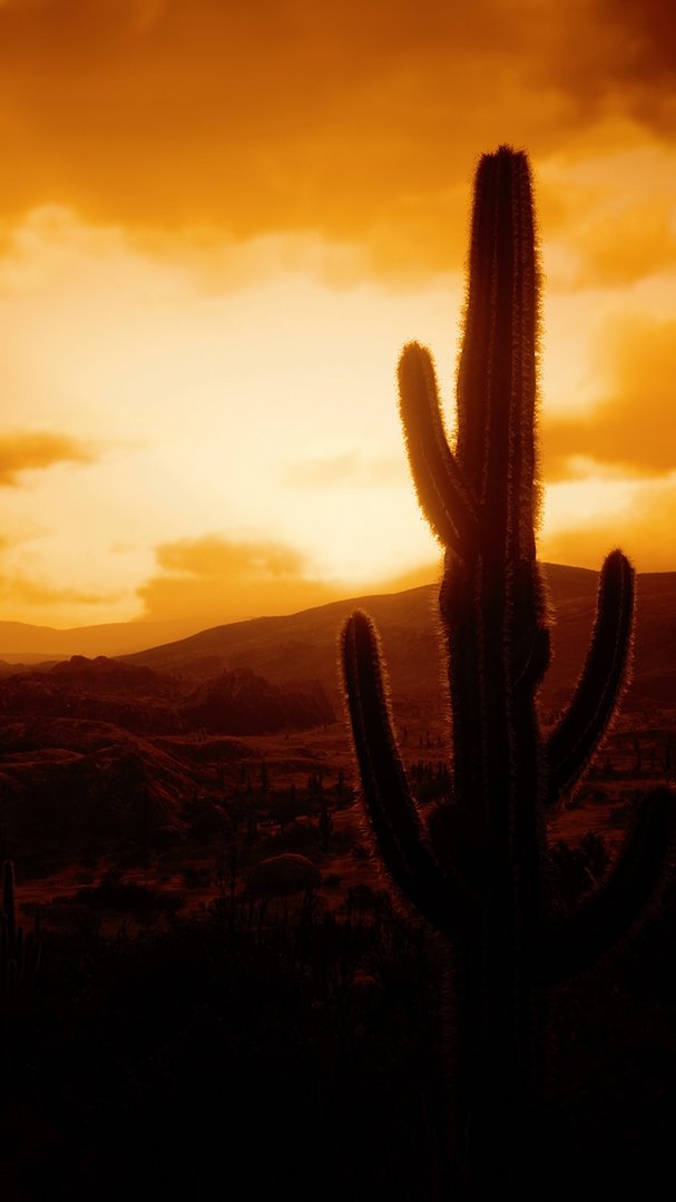 drkfox21's tweet photo. These are my shots for #PhotoModeMonday/#MarstonMondays 🤗
The first and last are vertical↕️
#RDR2

#VPCVMAG #VGPUnite #Gametography #VPEclipse #GamerGram #VPCONTEXT #TheCapturedCollective #PhotoMode #VirtualPhotography #PhotoDenUC #Phomode #WorldofVP #Zarngaming @RockstarGames https://t.co/fzD0vuEr94