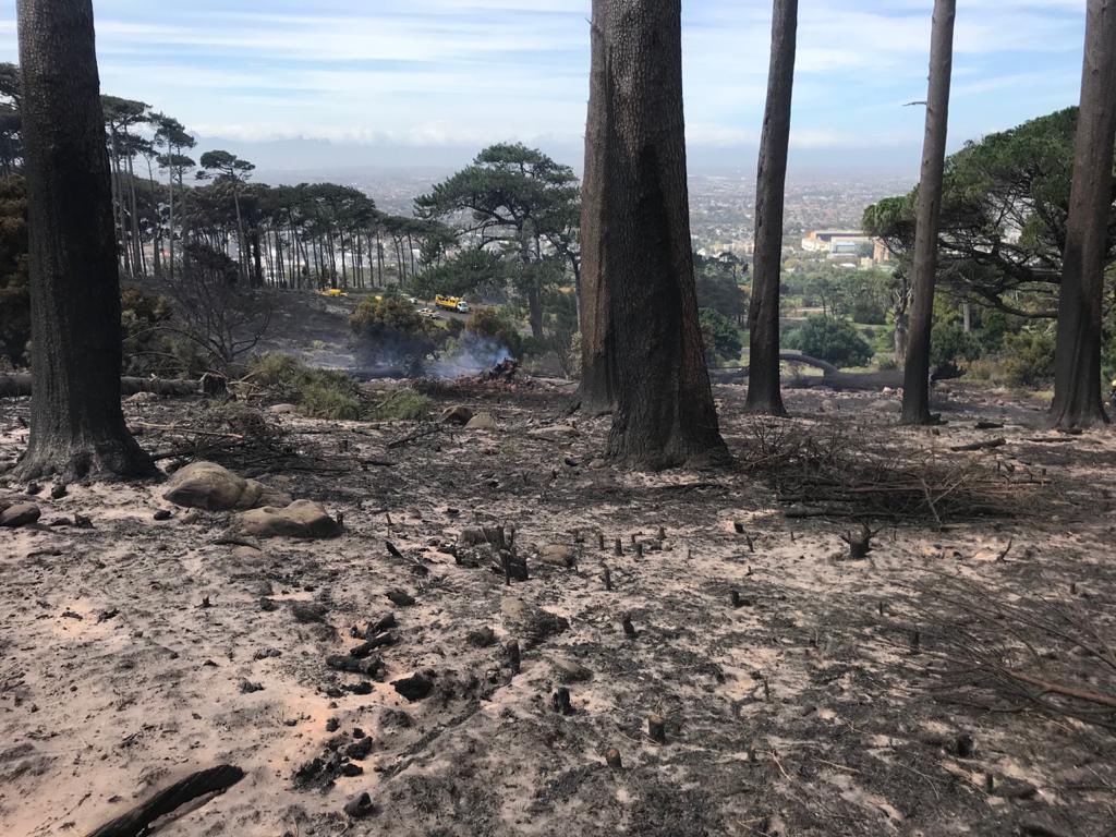 wo_fire's tweet image. Update: The Strand Team will be working from Rhodes Memorial and monitoring for any flare ups as windy weather continues to rage in the area. 

@UCT_news @CityofCT @VOCfm @eNCA @IOL @Tygerberg104fm @GoodHopeFM @SABCNews @environmentza
