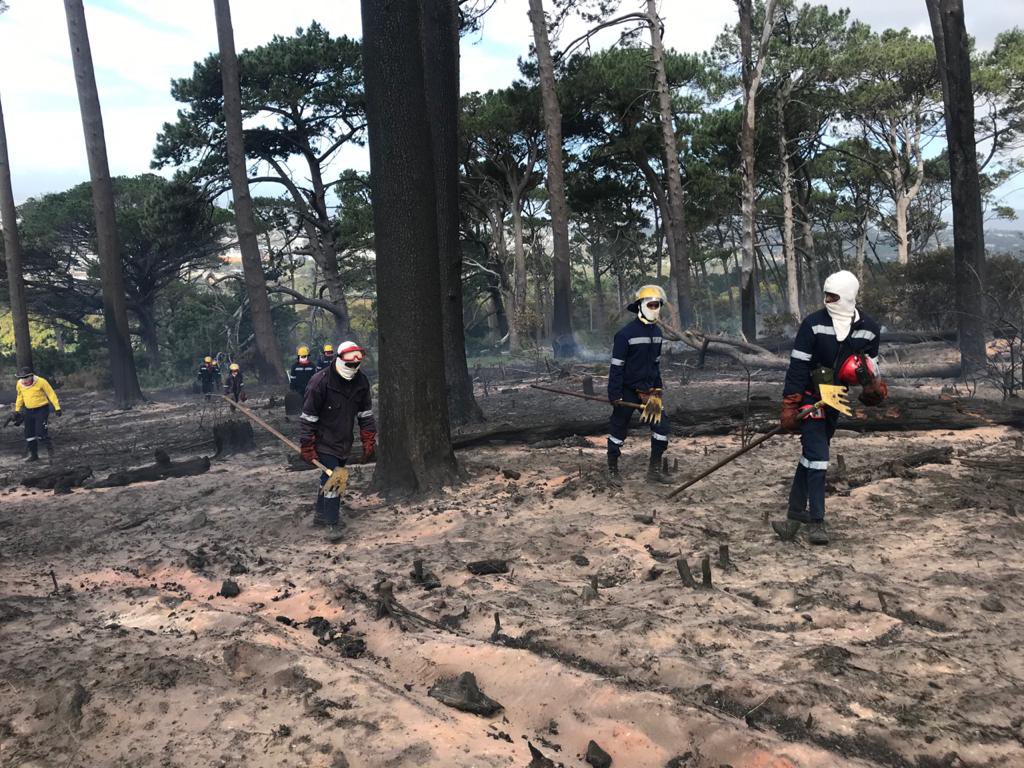 wo_fire's tweet image. Update: The Strand Team will be working from Rhodes Memorial and monitoring for any flare ups as windy weather continues to rage in the area. 

@UCT_news @CityofCT @VOCfm @eNCA @IOL @Tygerberg104fm @GoodHopeFM @SABCNews @environmentza