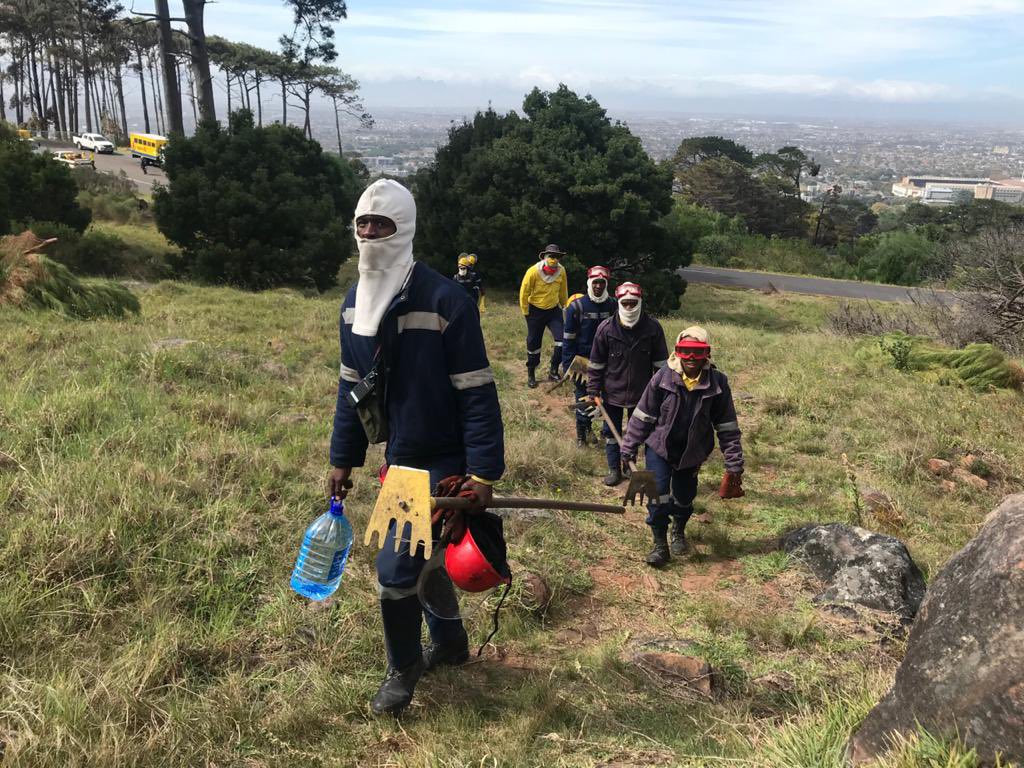 wo_fire's tweet image. Update: The Strand Team will be working from Rhodes Memorial and monitoring for any flare ups as windy weather continues to rage in the area. 

@UCT_news @CityofCT @VOCfm @eNCA @IOL @Tygerberg104fm @GoodHopeFM @SABCNews @environmentza