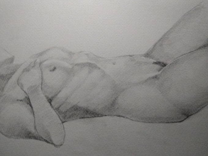 å¯ããŒãº æµ®ãäžããè骚ãšå¹³åŠãªäžå身ã奜ã