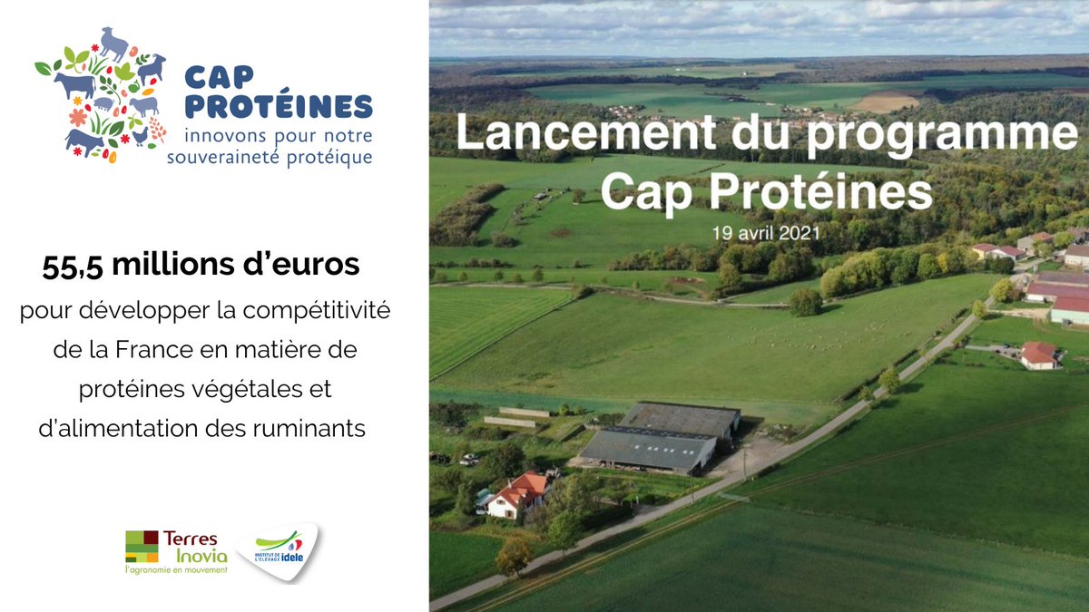 📣 Plan de relance | Découvrez le programme #CapProtéines
👉 55,5 millions d’euros pour développer la compétitivité de la #France en matière de #protéines végétales et d’alimentation des ruminants 
Pour en savoir plus : cap-proteines.fr