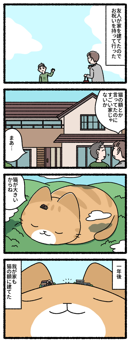 猫の額 